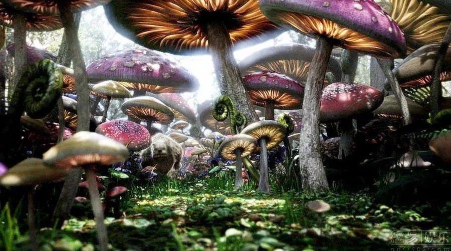 删除喜欢的人或者心爱的人是什么感觉？